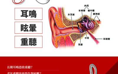 《內耳疾病3兄弟》